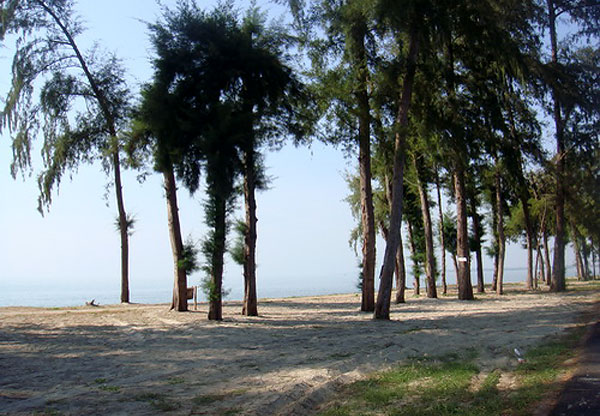 หาดสวนสนระยอง รีวิว