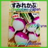 ขายเมล็ดผักสวนครัวจากญี่ปุ่น ราคา 20 บาท MamaYuko.com